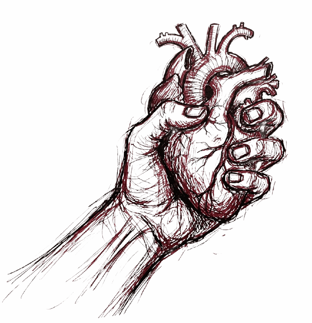 Hand holding heart