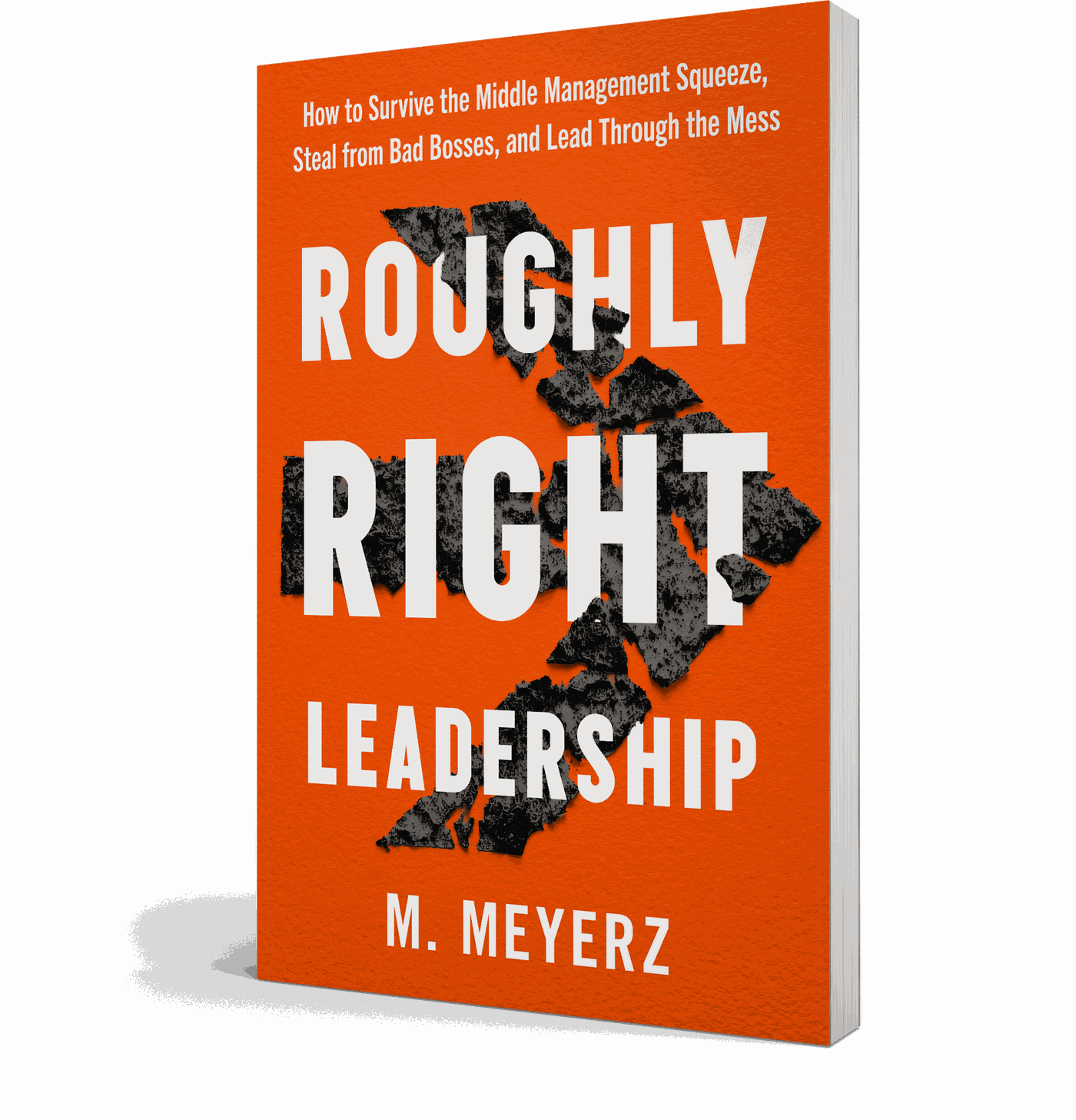 Roughly Right Leadership — M. Meyerz. Paperback cover.